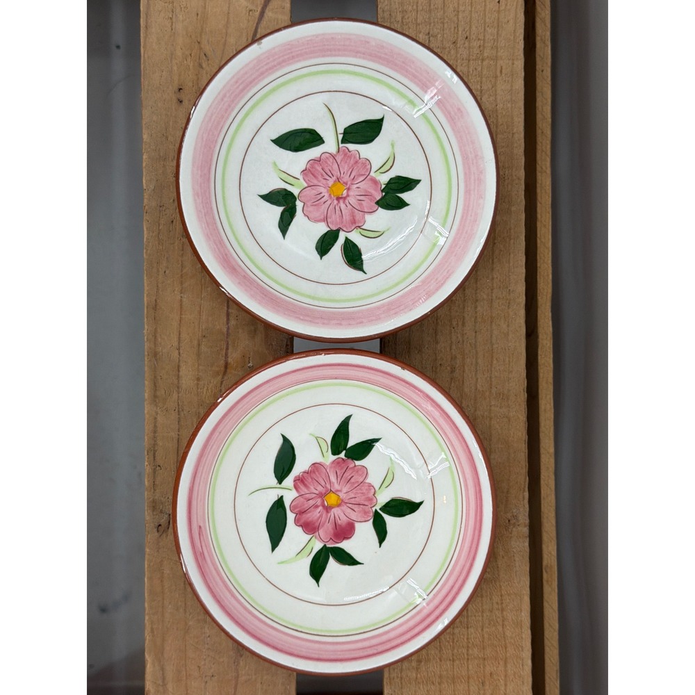 Stangl Pottery Wild Rose Dessert Plates Set of 2 Vintage Hand Painted Ceramics